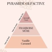 Pyramide Olfactive Framboise Sauvage - parfums d'intérieur - Niõ Fondants parfumés Framboise sauvage | Reine des Parfums fruités