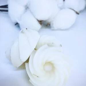 Fleur de Coton