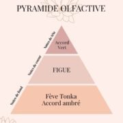 Pyramide Olfactive Figue Fraiche - parfums d'intérieur - Niõ Fondants parfumés Figue Fraîche | Parfum authentique et solaire
