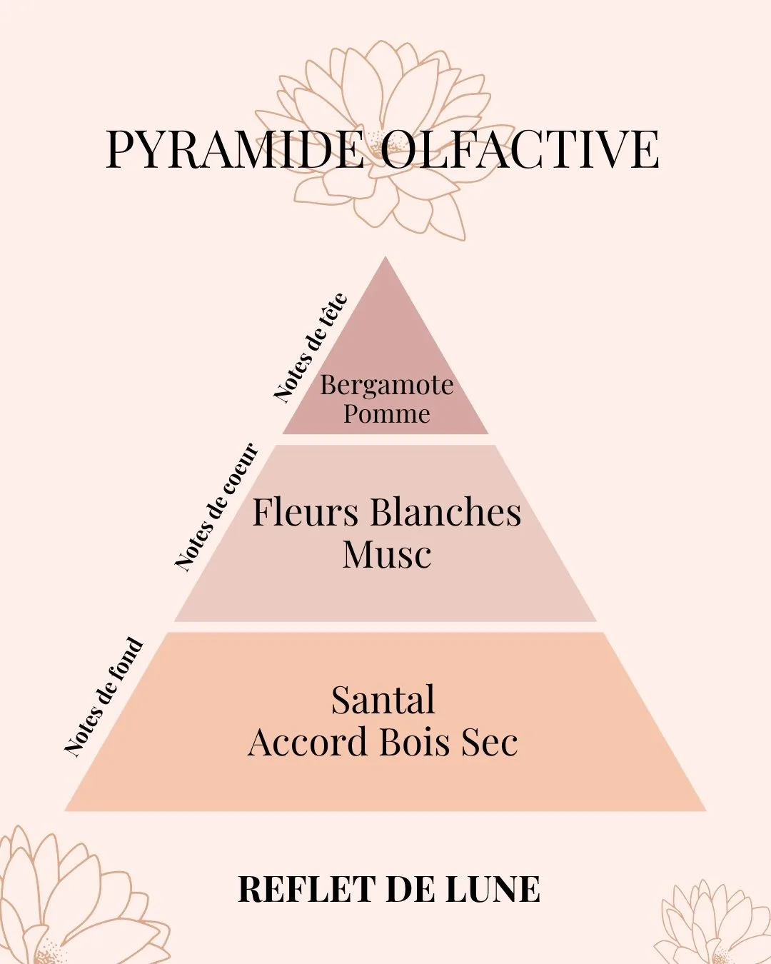 Pyramide Olfactive Clémentine-Monoï - parfums d'intérieur - Niõ
