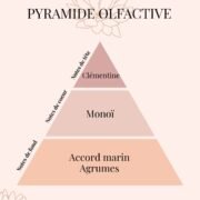 Pyramide Olfactive Clémentine-Monoï - parfums d'intérieur - Niõ