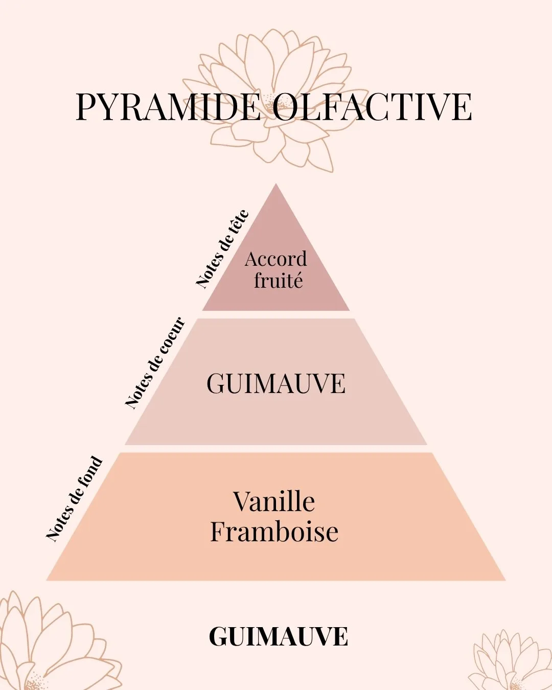 Pyramide Olfactive Guimauve - parfums d'intérieur - Niõ