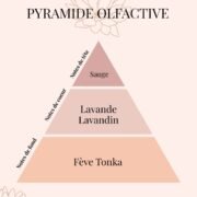 Pyramide Olfactive Herbier Sauvage - Lavande et Sauge - Parfums d'intérieur - Niõ
