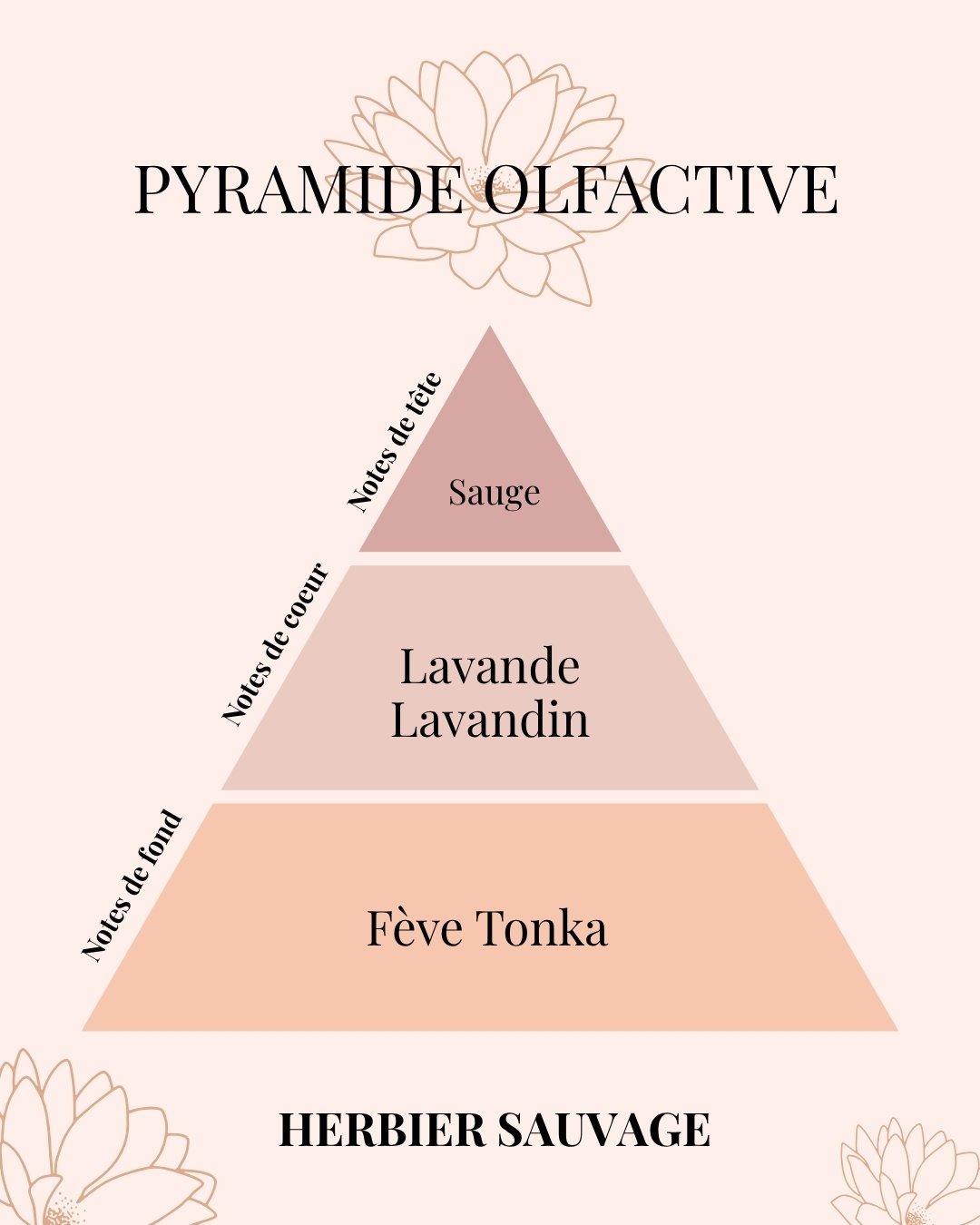 Pyramide Olfactive Herbier Sauvage - Lavande et Sauge - Parfums d'intérieur - Niõ
