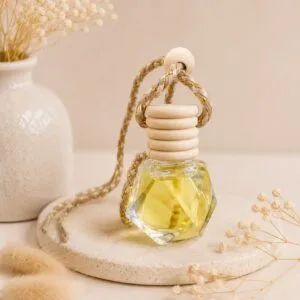 Diffuseur de Parfum pour Voiture