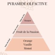 Fondants parfumés Paradis Tropical | Solution naturelle anti-odeurs