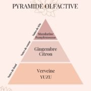 Pyramide Olfactive Yuzu énergisant - parfums d'intérieur - Niõ par N'importe où