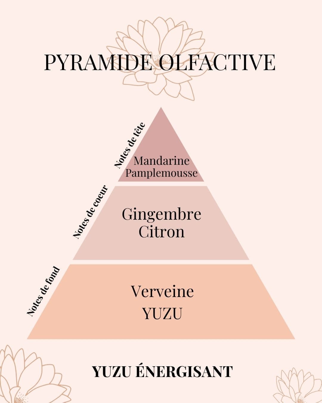 Pyramide Olfactive Yuzu énergisant - parfums d'intérieur - Niõ par N'importe où