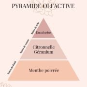 Pyramide Olfactive Citronnelle anti moustique naturel et efficace - parfums d'intérieur - Niõ par N'importe où