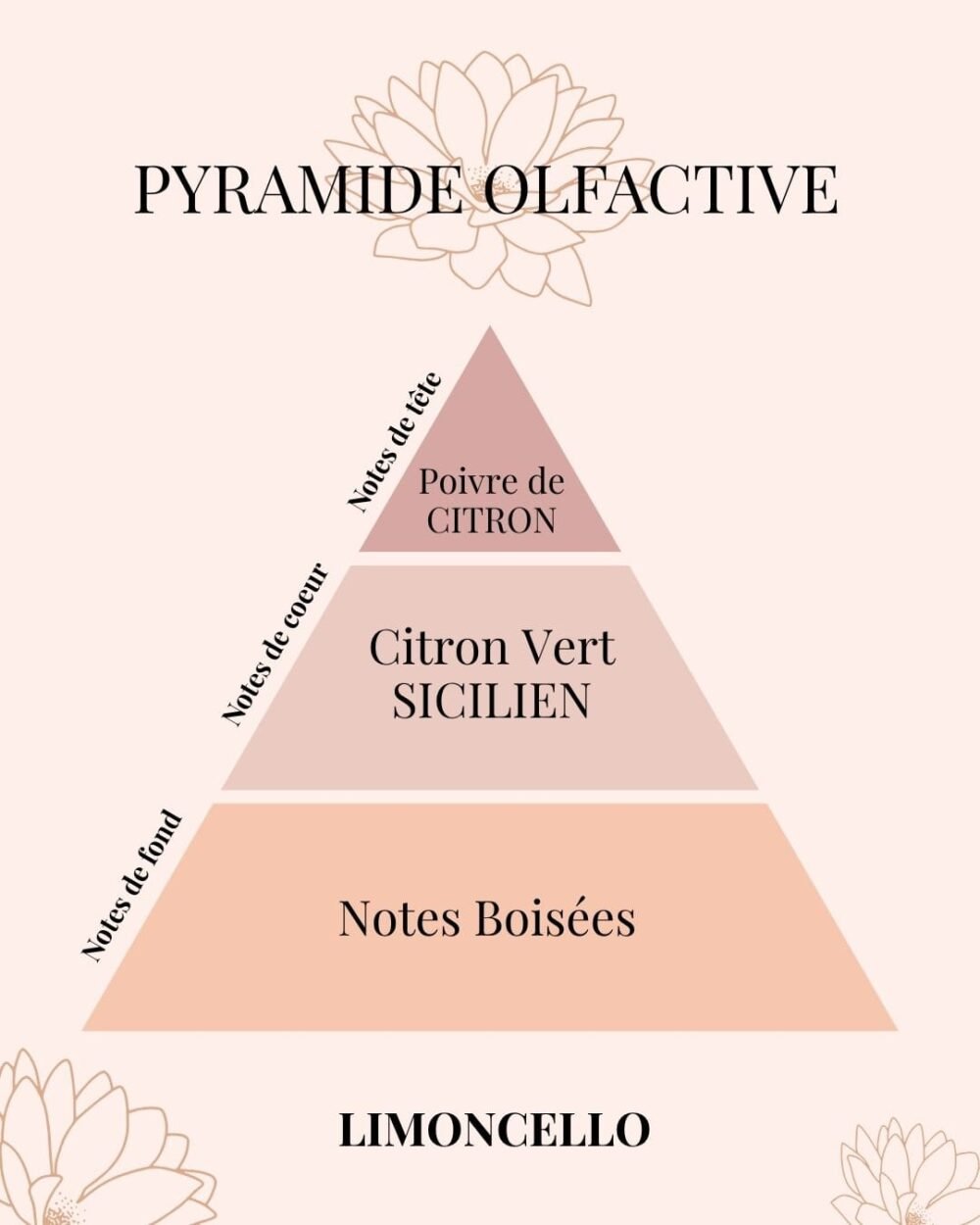 Pyramide Olfactive Limoncello inspiré de la recette italienne - Niõ Fondants parfumés Limoncello - Parfum citronné inspiré de la recette italienne