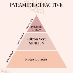 Pyramide Olfactive Limoncello inspiré de la recette italienne - Niõ Fondants parfumés Limoncello - Parfum citronné inspiré de la recette italienne