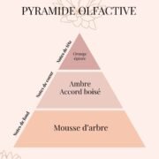Pyramide Olfactive Bougie naturelle SAUVAGE - parfums d'intérieur - Niõ par N'importe où Pyramide Olfactive Bougie naturelle SAUVAGE - parfums d'intérieur - Niõ par N'importe où
