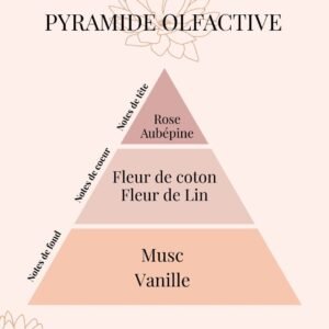 Pyramide Olfactive bouquet parfumé MOCHA - parfums d'intérieur - Niõ Pyramide Olfactive bouquet parfumé MOCHA - parfums d'intérieur - Niõ