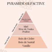 Pyramide Olfactive Miel et Fève Tonka - parfums d'intérieur - Niõ par N'importe où Bougie parfumée Miel & Fève Tonka – 5 rue de l'Abeille | Collection Signature