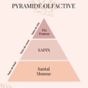 Pyramide Olfactive fragrance Sapin - parfums d'intérieur - Niõ Pyramide Olfactive fragrance Sapin - parfums d'intérieur - Niõ