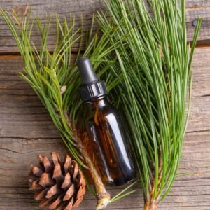 parfum de tablette de fondants parfumés Sapin de Noël - fondants artisanaux faits à la main - Niõ Tablette de fondants parfumés Sapin de Noël | Esprit des fêtes