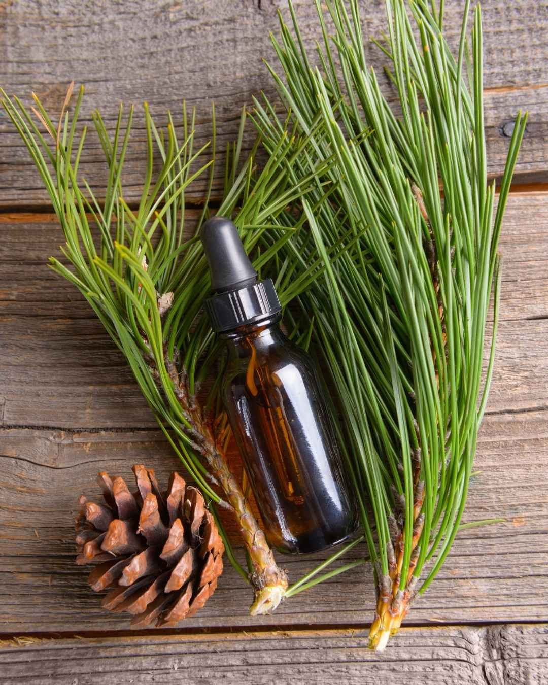 parfum de tablette de fondants parfumés Sapin de Noël - fondants artisanaux faits à la main - Niõ Tablette de fondants parfumés Sapin de Noël | Esprit des fêtes