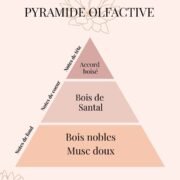 Pyramide Olfactive Bois de Santal - parfums d'intérieur - Nio par N'importe où Pyramide Olfactive Bois de Santal - parfums d'intérieur - Nio par N'importe où
