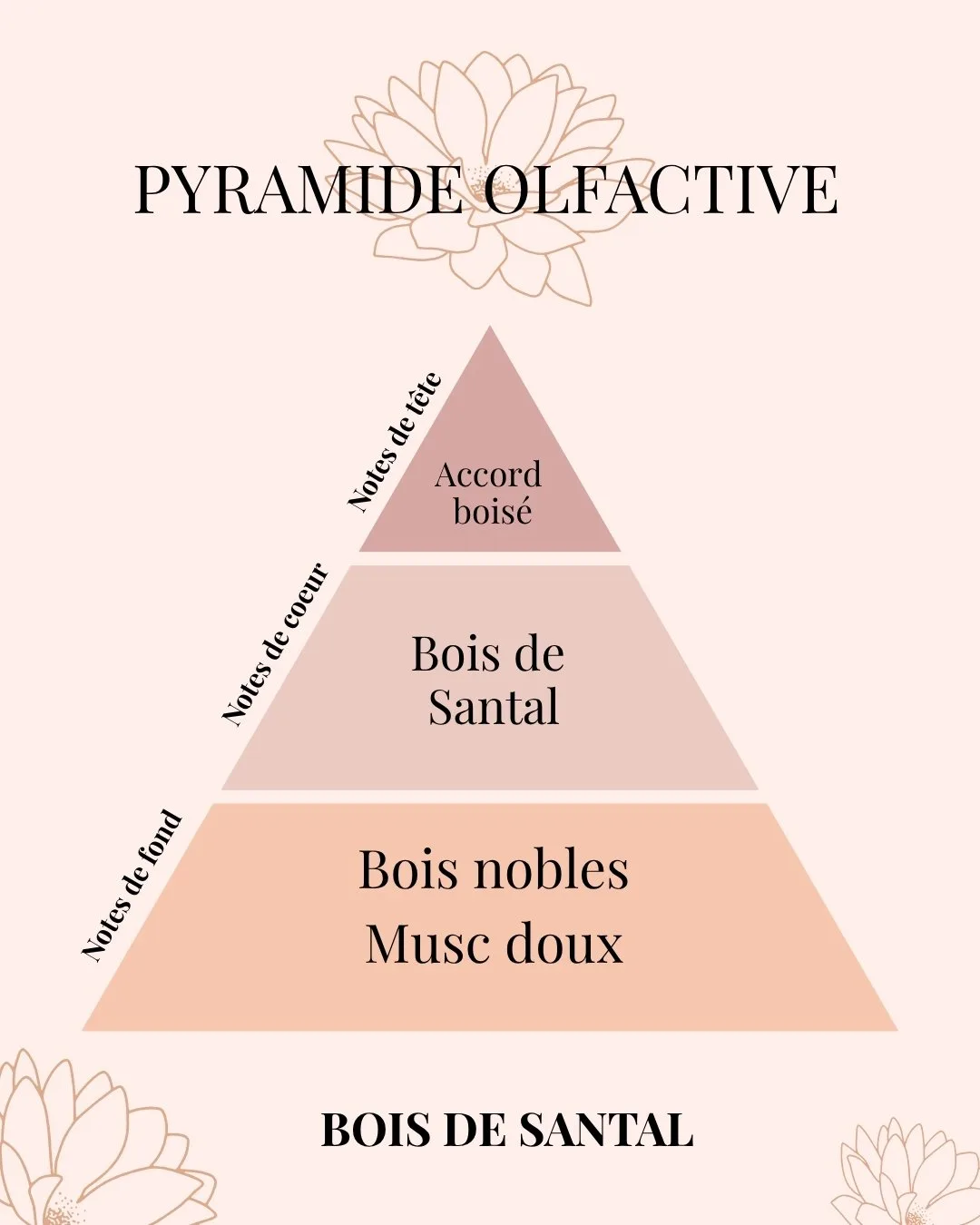Pyramide Olfactive Bois de Santal - parfums d'intérieur - Nio par N'importe où
