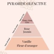 Pyramide Olfactive Bouquet éternel de cire végétale Célébration