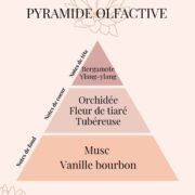 Pyramide Olfactive Eclats des îles - parfums d'intérieur - Nio par N'importe où NUDE - Bouquet parfumé éternel en fleurs de cire | Eclats des îles