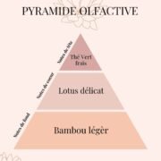 Pyramide Olfactive bougie parfumée Rituel de Jade - parfums d'intérieur - Nio par N'importe où Bougie Bijou Rituel de Jade | Thé Vert, Lotus & Bambou