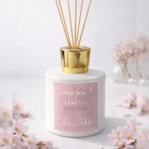 Balade à Tokyo