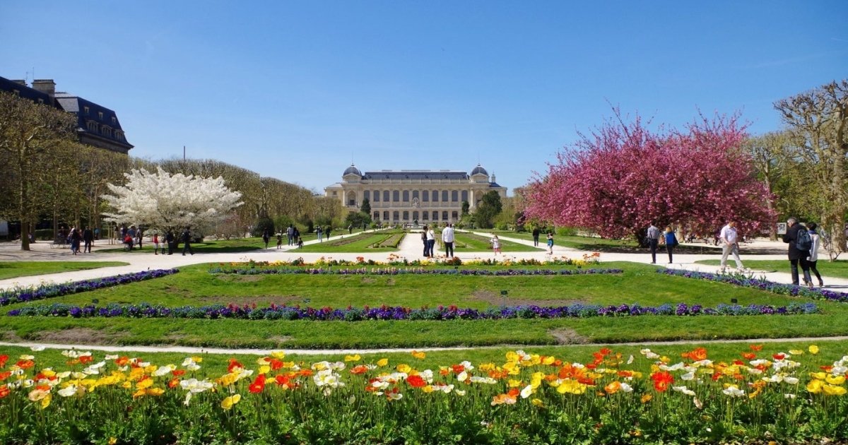 Le jardin des plantes à Paris - Des plus beaux endroits pour admirer les sakura, cerisiers japonais, en fleurs, en France - boutique N'importe où - bougies, fondants et autres accessoires parfumés Le jardin des plantes a Paris Des plus beaux endroits pour admirer les sakura cerisiers japonais en fleurs en France boutique Nimporte ou bougies fondants et autres accessoires parfumes