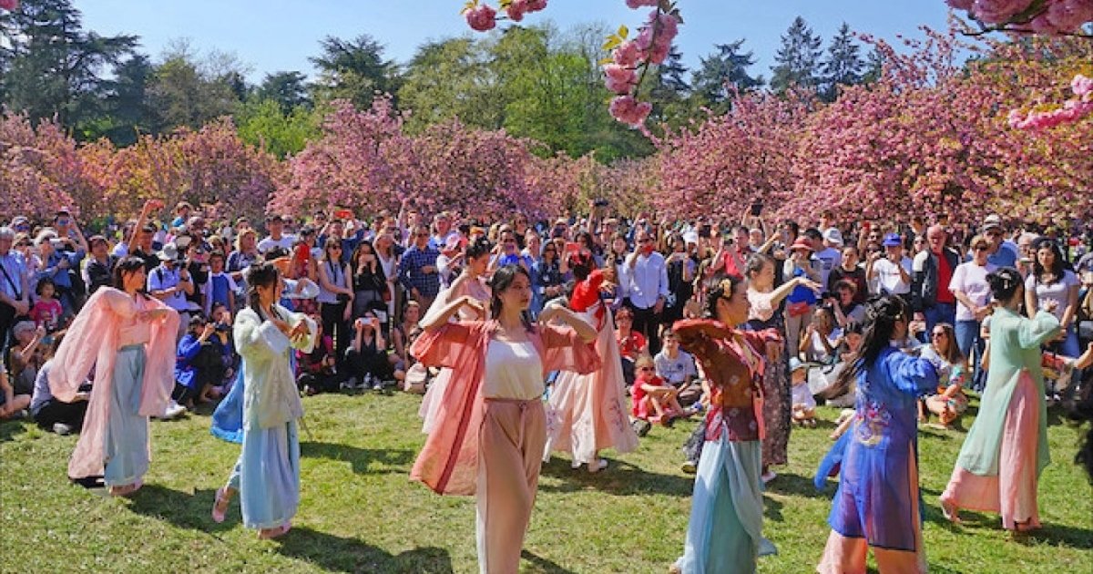 Parc de Sceaux Paris - Des plus beaux endroits pour admirer les sakura, cerisiers japonais, en fleurs, en France - boutique N'importe où - bougies, fondants et autres accessoires parfumés Parc de Sceaux Paris Des plus beaux endroits pour admirer les sakura cerisiers japonais en fleurs en France boutique Nimporte ou bougies fondants et autres accessoires parfumes