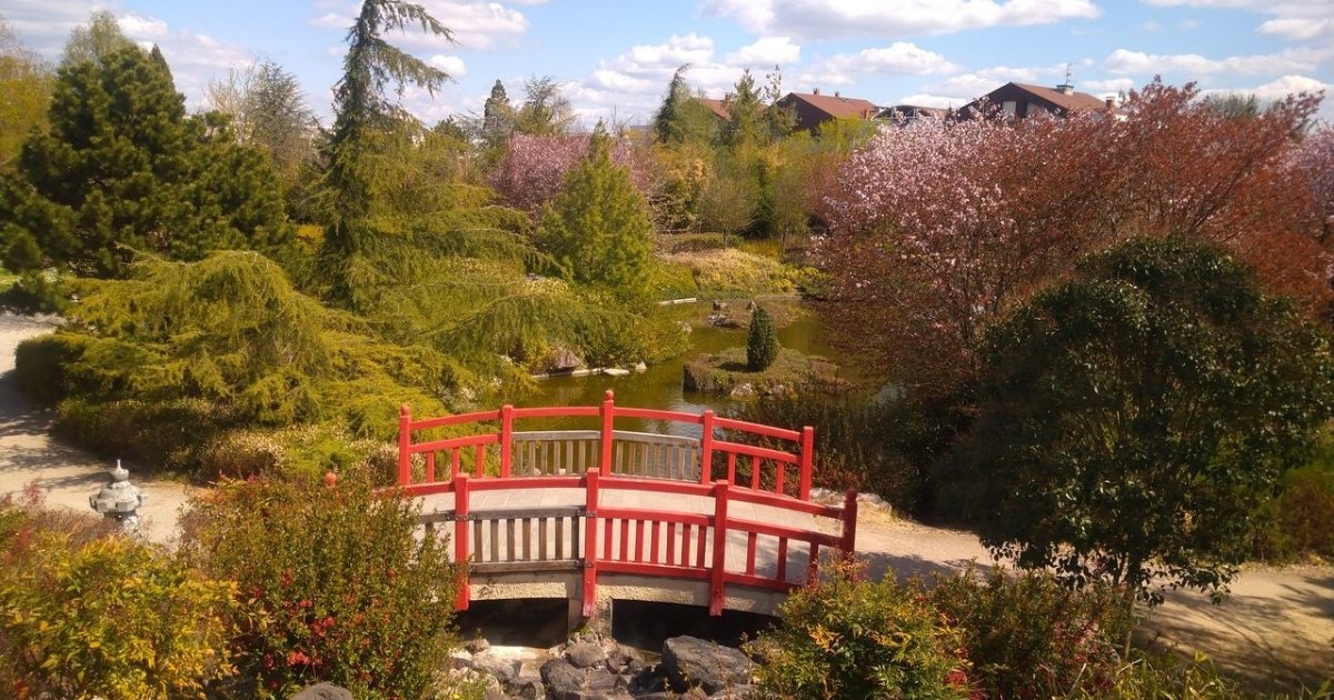 Parc de Suzon à Dijon - Des plus beaux endroits pour admirer les sakura, cerisiers japonais, en fleurs, en France - boutique N'importe où - bougies, fondants et autres accessoires parfumés Parc de Suzon a Dijon Des plus beaux endroits pour admirer les sakura cerisiers japonais en fleurs en France boutique Nimporte ou bougies fondants et autres accessoires parfumes