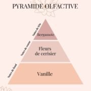 Pyramide Olfactive Fleurs de Cerisier - parfums d'intérieur - Niõ par N'importe où Brume d’Oreiller Fleur de Cerisier – Rituel Nuit Floral Délicat & Apaisant