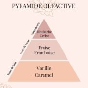 Pyramide Olfactive Fraise et Rhubarbe - Parfums d'intérieur - Niõ par N'importe où