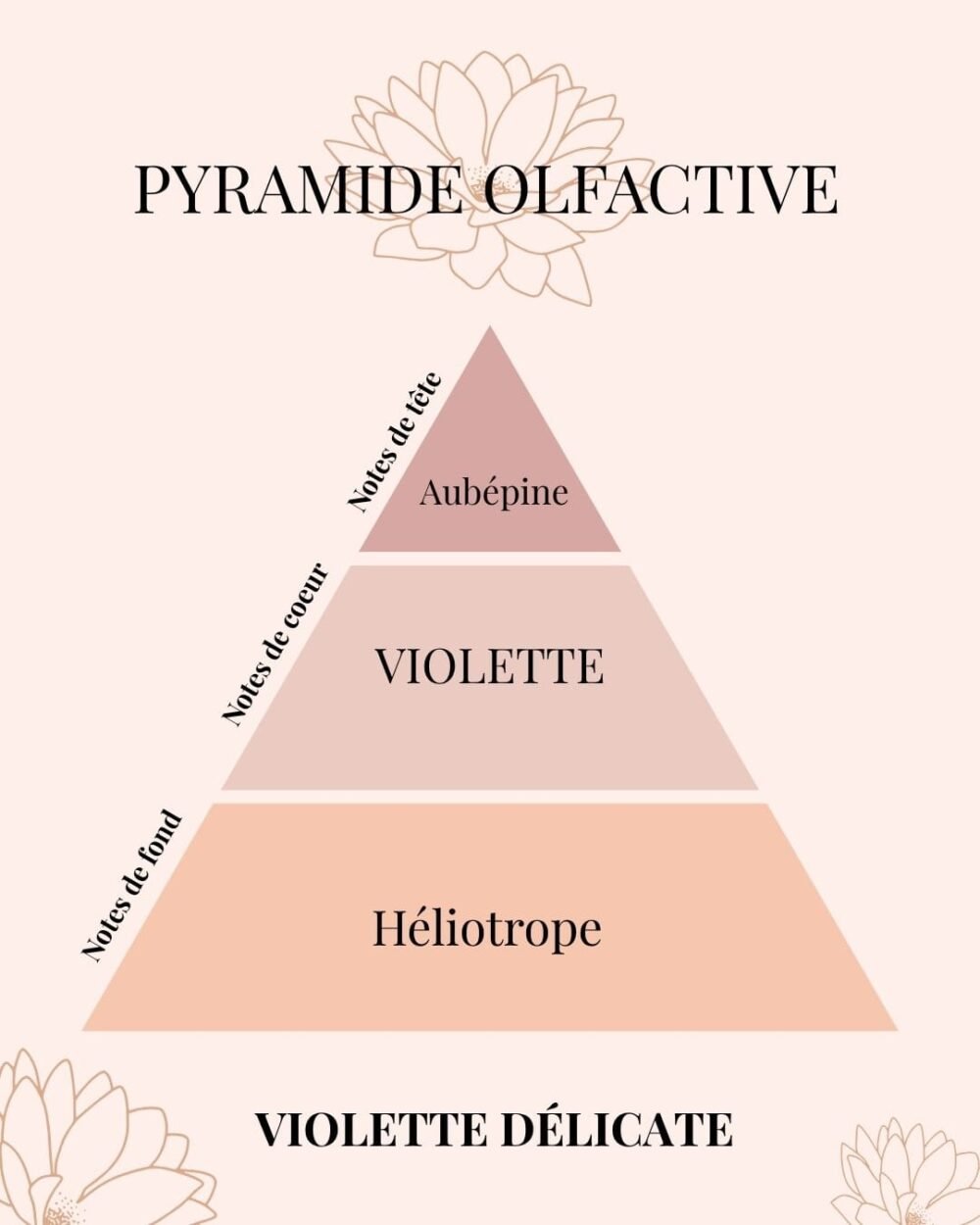 Pyramide Olfactive Violette délicate - parfums d'intérieur - Niõ