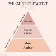 Pyramide olfactive Thé Noir et Vanille épicée - parfums d'intérieur - Niõ par N'importe où Pyramide olfactive Thé Noir et Vanille épicée - parfums d'intérieur - Niõ par N'importe où
