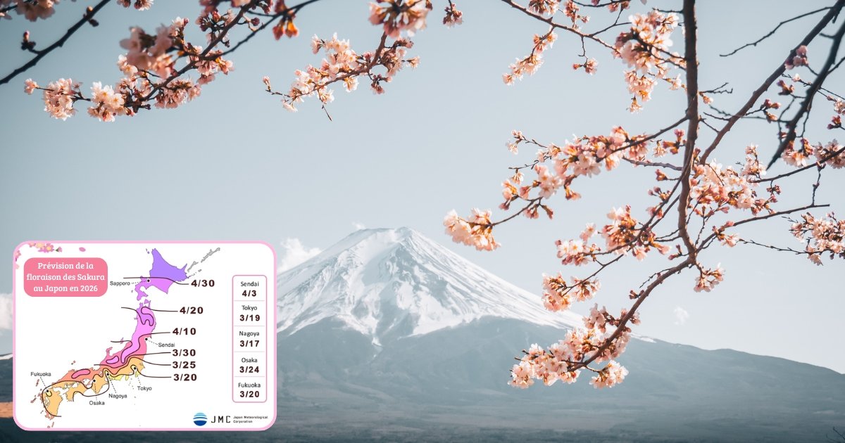 Sakura : quand voir les cerisiers en fleurs au Japon ? Calendrier 2026 5 Sakura - quand voir les cerisiers en fleurs au Japon Calendrier 2026
