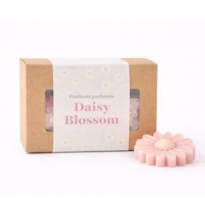 fondants parfumés Musc et Pivoine - Daisy Blossom Duo Floral - cire végétale - Niõ par N'importe où Fondants parfumés Daisy Blossom – Duo floral