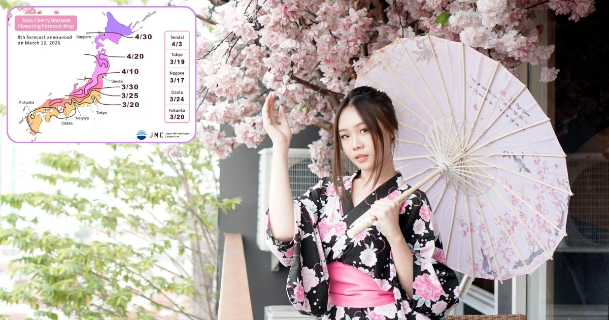 Le Guide ultime du Hanami 2026 : célébrer le printemps à la japonaise 1 Une jeune japonaise en habit traditionnel lors de hanami 2026 fête des cerisiers au japon - france - le guide ultime de Sakura - n'importe où