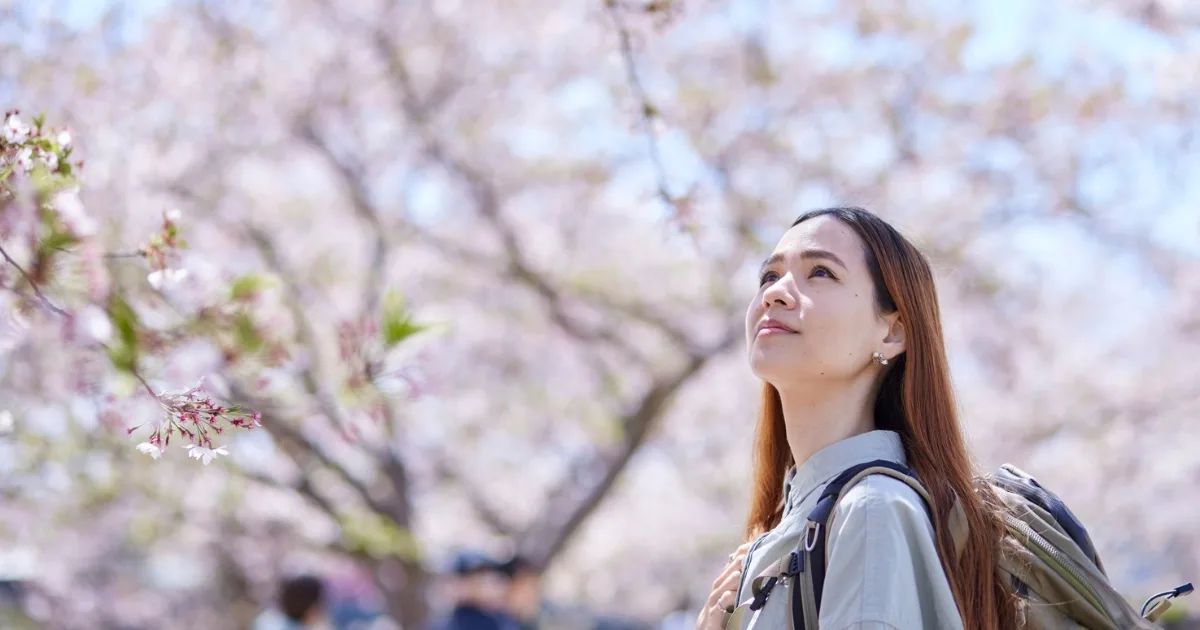 Une jeune japonaise en train de contempler un arbre de Sakura en floraison - hanami fete du sakura tradition japonaise - guide pratique de hanami en France