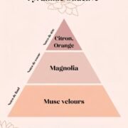 pyramide olfactive - Bougie parfumée Magnolia & Musc de Soie-12, Cours de Cambronne - Niõ Bougie parfumée Magnolia & Musc de Soie – 12, Cours de Cambronne