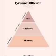 pyramide olfactive Musc Blanc parfum d'intérieur - Niõ par N'importe où