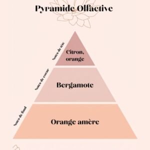 pyramide olfactive - bougie parfumée - bergamote - bohème - Niõ Bougie parfumée Bergamote – Collection Bohème