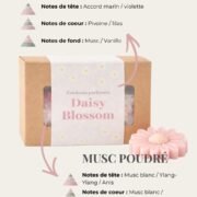 pyramide olfactive fondants parfumés Musc Pivoine - Daisy Blossom Duo Floral - Niõ par N'importe où Fondants parfumés Daisy Blossom – Duo floral