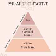Pyramide Olfactive Fleur de Vanille - parfums d'intérieur - Niõ