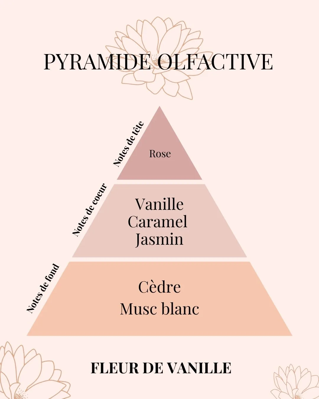 Pyramide Olfactive Fleur de Vanille - parfums d'intérieur - Niõ