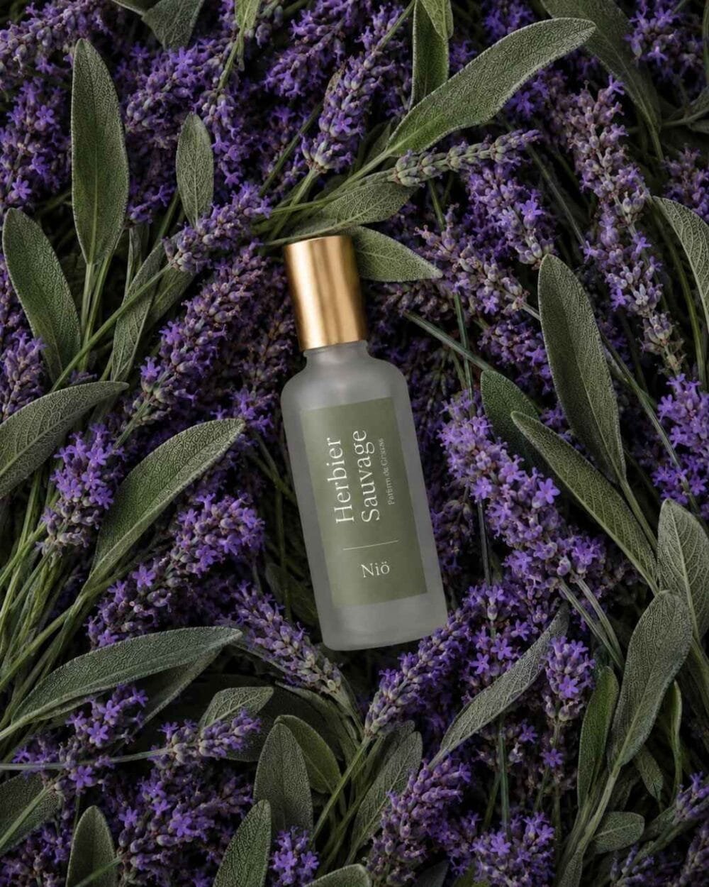 Herbier Sauvage