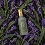Herbier Sauvage
