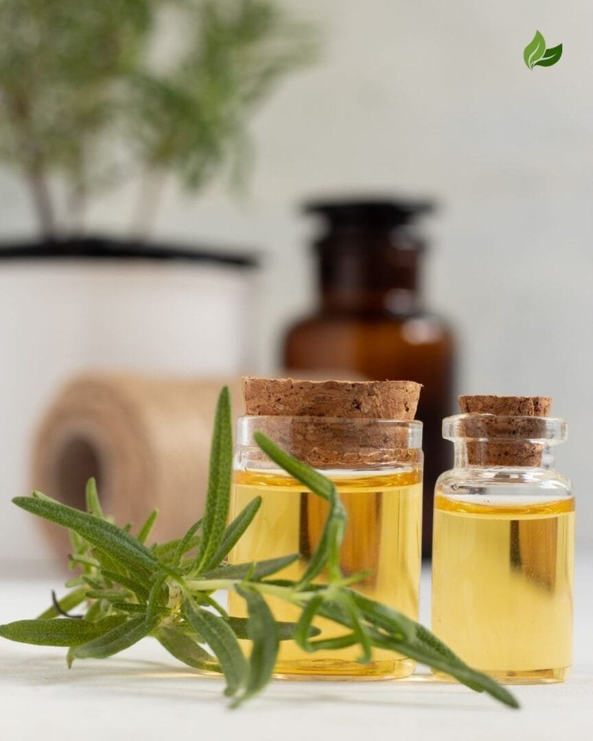 fragrances saines de qualité et premium - Niõ par N'importe où