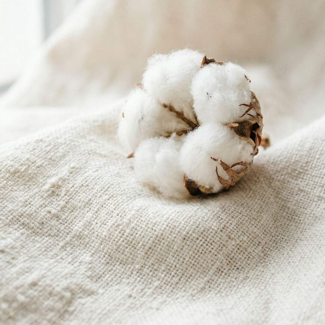Univers La Chambre Blanche - Fragrances poudrées et musquée pour cocoon de votre chambre - Niõ Univers La Chambre Blanche - Fragrances poudrées et musquée pour cocoon de votre chambre - Niõ