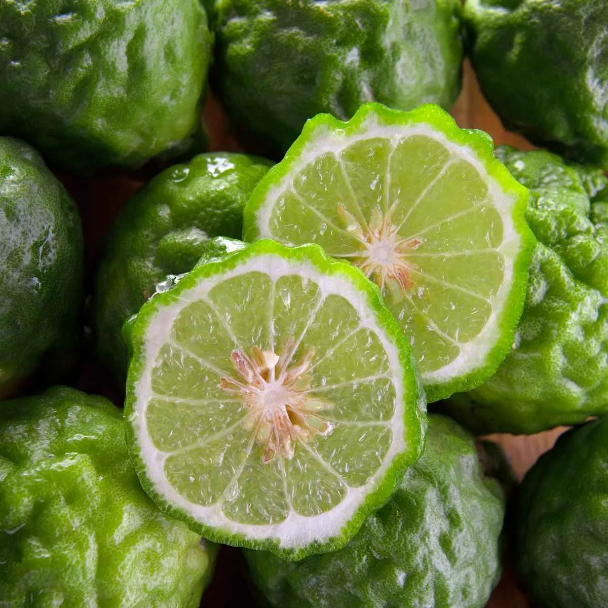 Bergamote 1 Fruit bergamote frais avec feuillage et zeste, ingrédient emblématique de la parfumerie naturelle Niõ