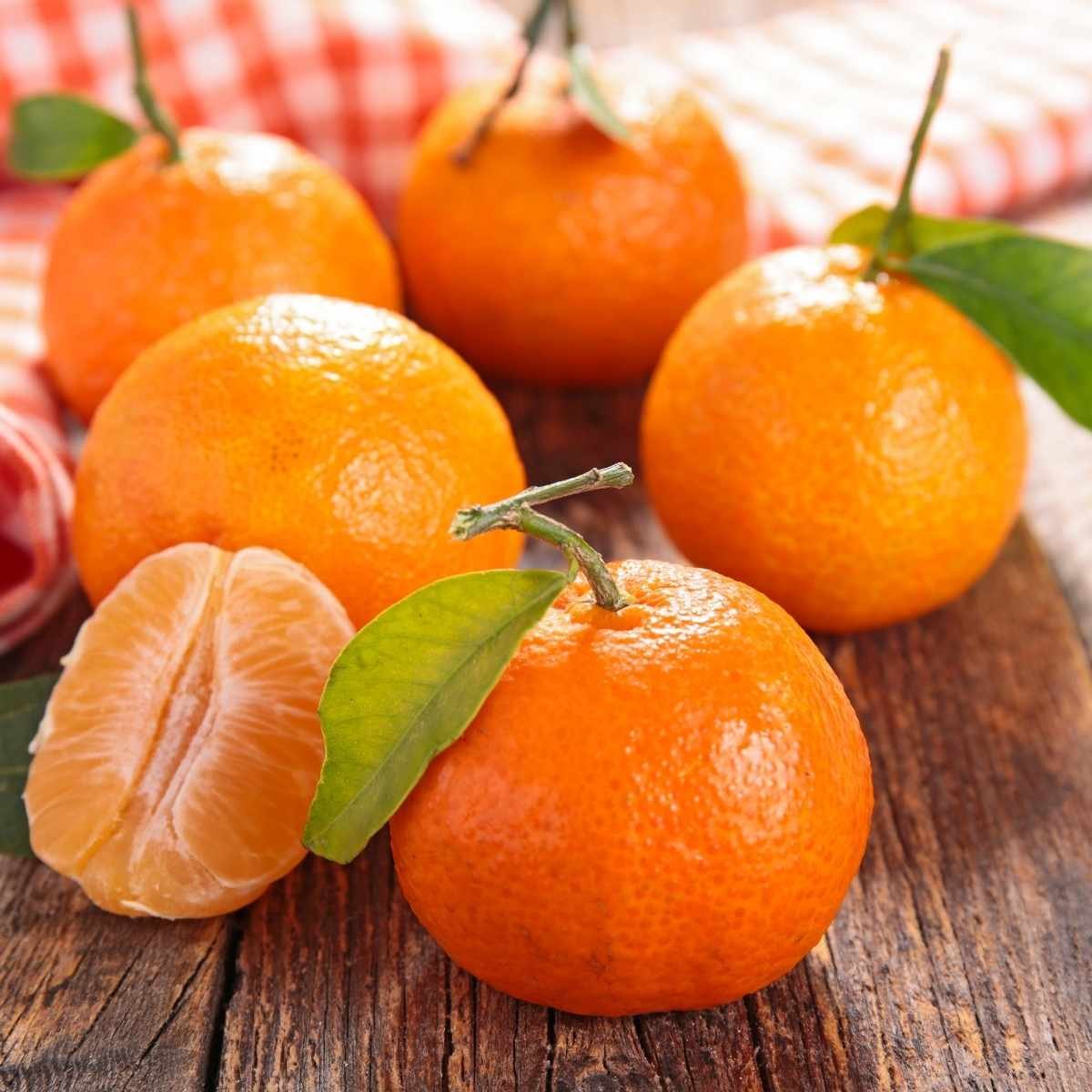 Clémentine 1 Clémentine fraîche à la peau brillante et aux feuilles vertes, agrume doux et juteux signature des créations fruitées Niõ